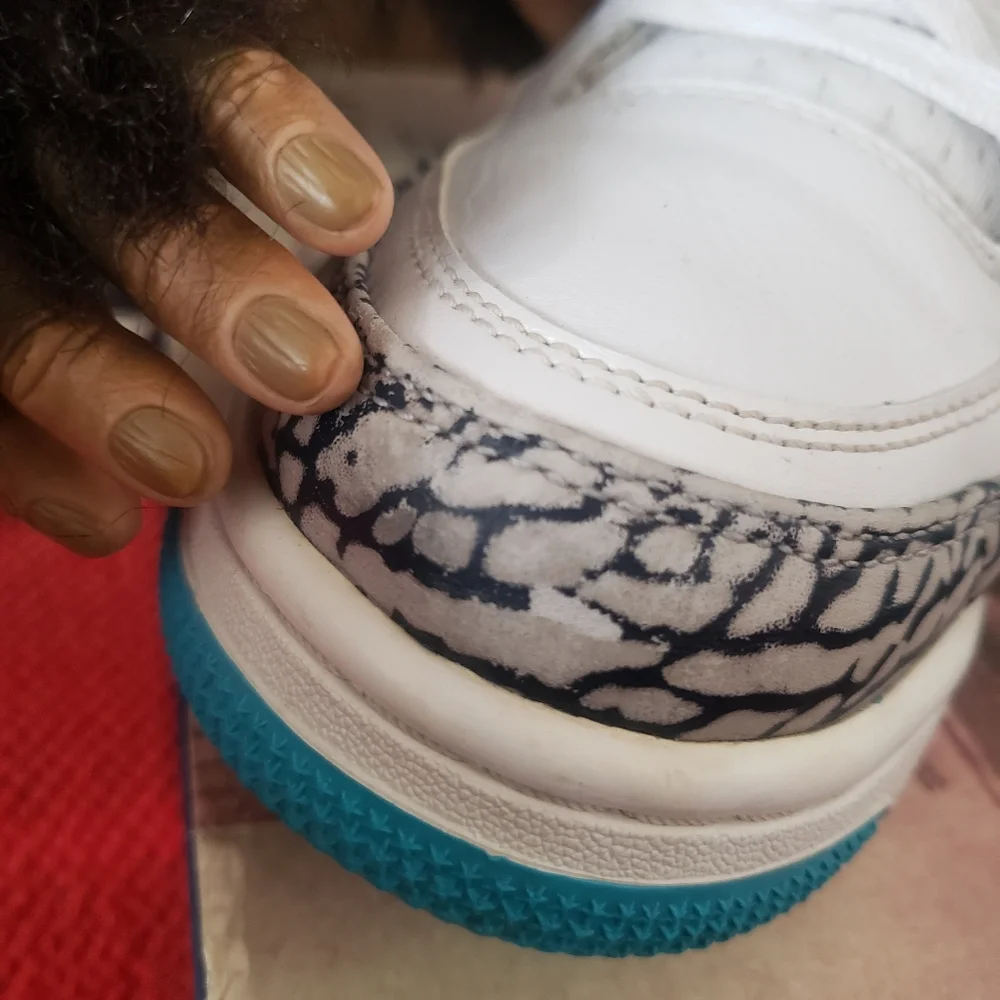 Jordan "Son of Mars" Hornets - Picture 11 of 14